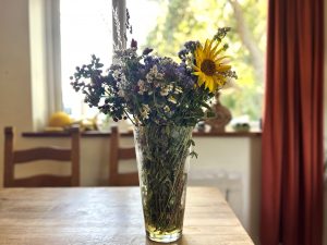 Field of flowers