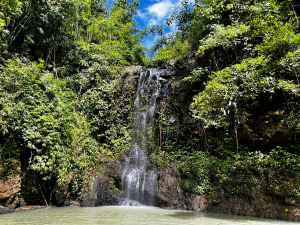 From comparison to grace